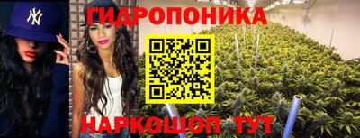 тгк Краснокаменск