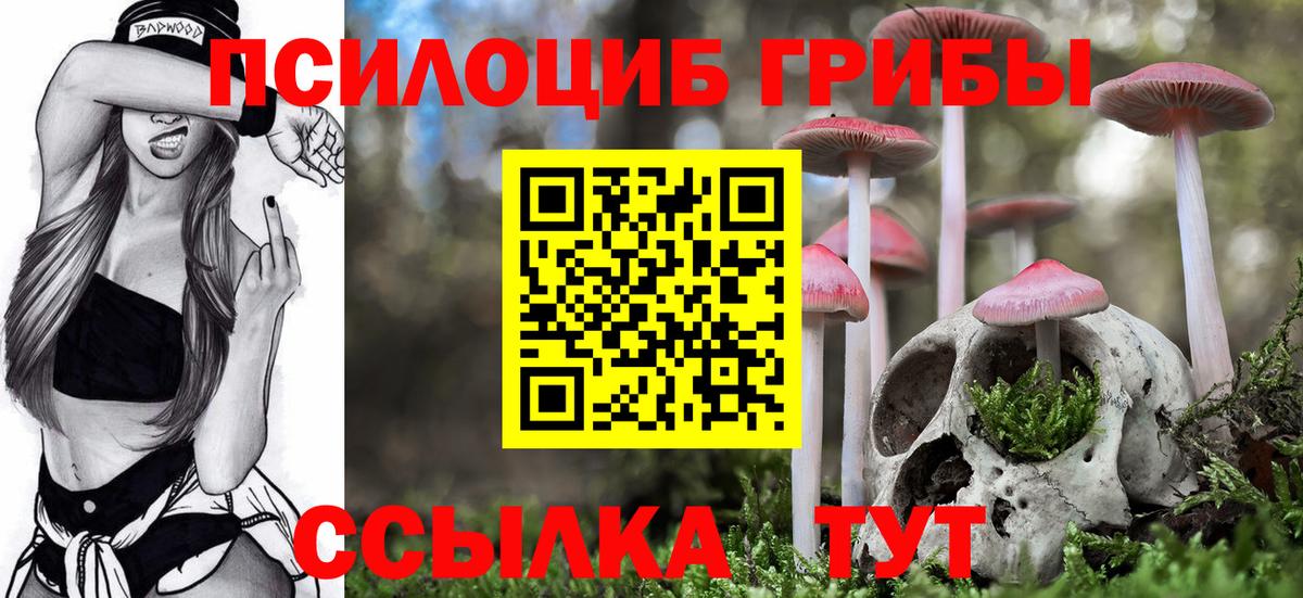 Галлюциногенные грибы Psilocybine cubensis Кисловодск